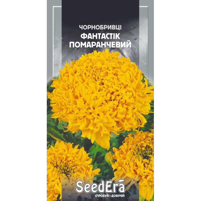 Насіння Чорнобривці високорослі Фантастік Помаранчевий 0,5 г Seedera