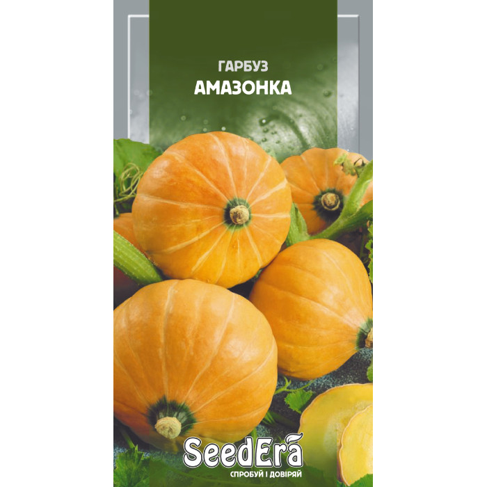 Насіння Гарбуз Амазонка 10 шт Seedera