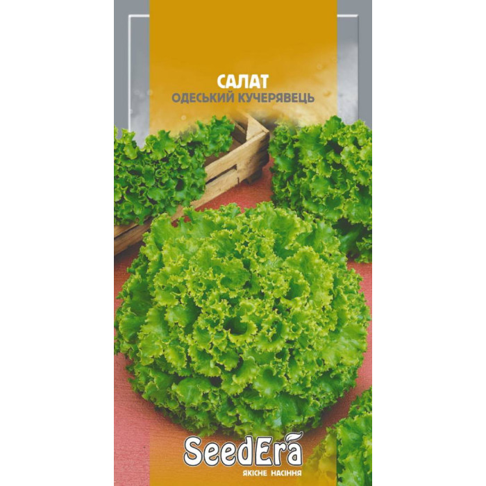 Насіння Салат листовий Кучерявець Одеський 10 г Seedera
