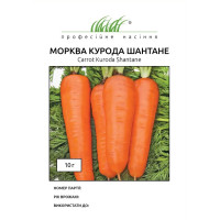 Насіння Морква Курода Шантане 10 г Професійне насіння