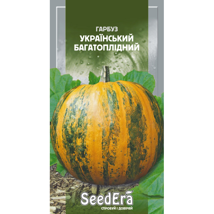 Насіння Гарбуз Український багатоплідний 20 г Seedera