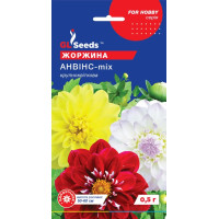 Насіння Жоржина Анвінс суміш 0,5 г GL Seeds