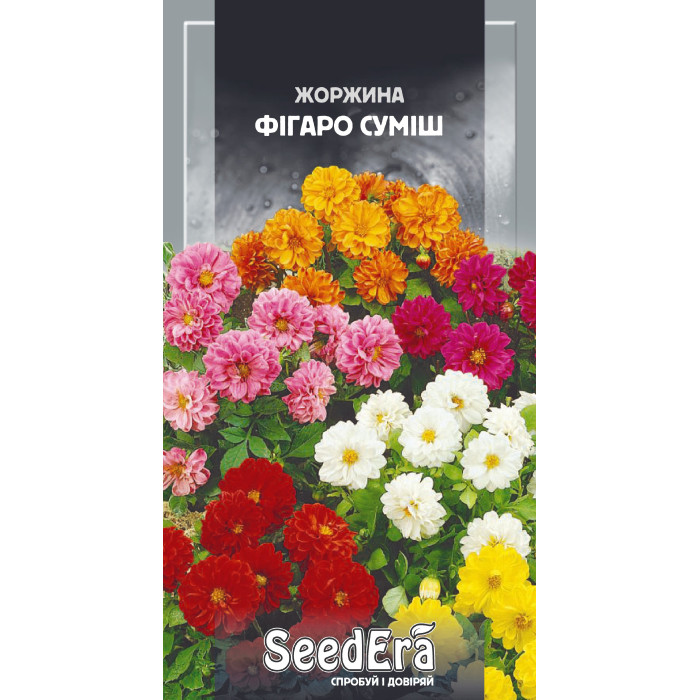 Насіння Жоржина мінлива Фігаро, суміш 0,5 г, Seedera