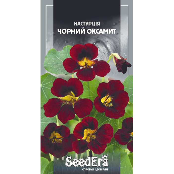 Насіння Настурція культурна низькоросла Чорний оксамит, 1 г, Seedera