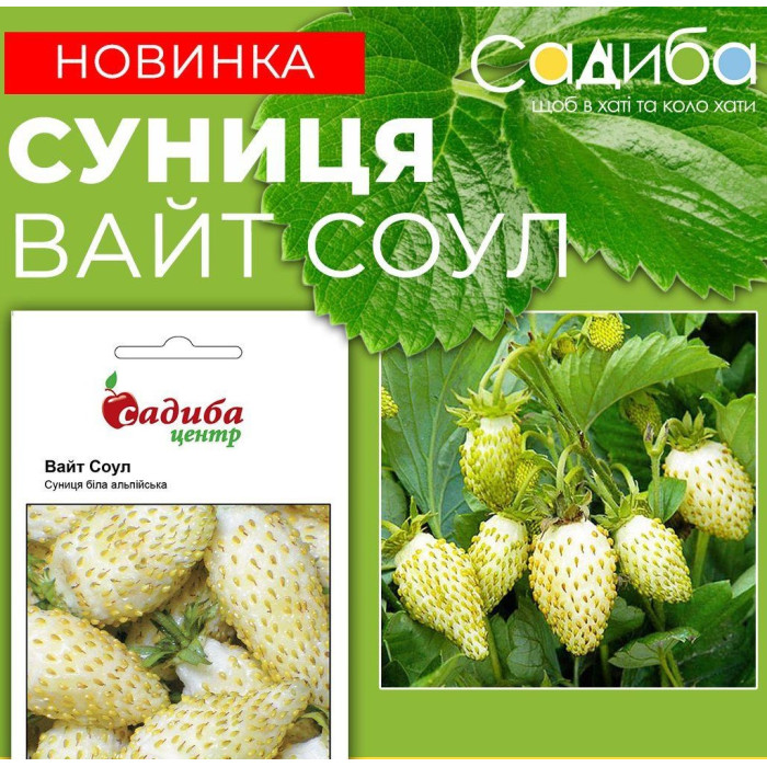 Насіння Суниця біла альпійська Вайт Соул 0,1 г Садиба