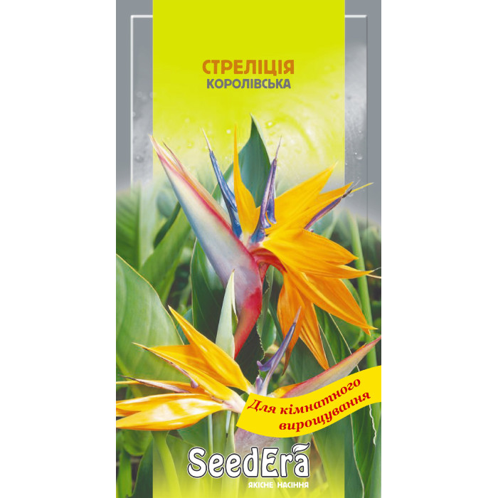 Насіння Стреліція Королівська кімнатна 5 шт Seedera