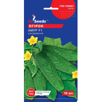 Насіння Огірок самозапильний Амур F1, 10 шт, GL Seeds