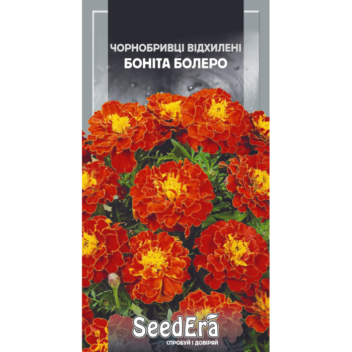 Насіння Чорнобривці низькорослі відхилені Боніта Болеро 0,5 г Seedera