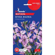 Насіння Матіола Нічна фіалка 1 г GL Seeds