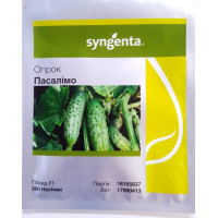 Насіння Огірок Пасалімо F1, Syngenta (1 шт) Голандія