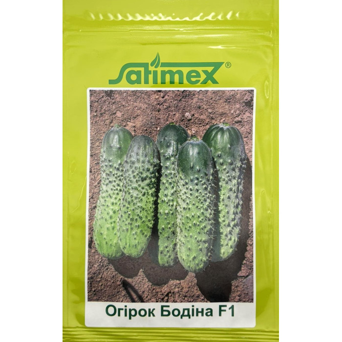 Насіння Огірок Бодіна F1 Satimex 250 шт