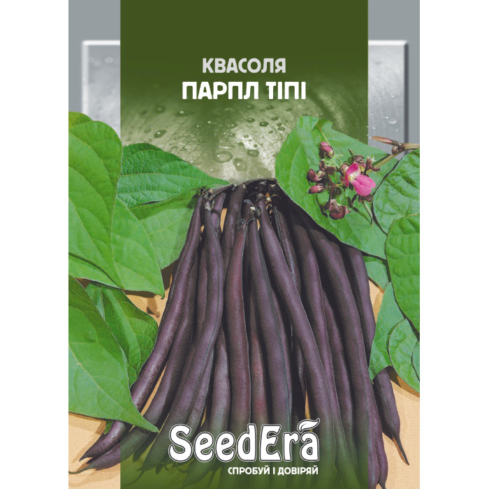 Насіння Квасоля спаржева кущова Парпл Тіпі, 20 г, Seedera