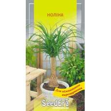 Насіння Ноліна міні кімнатна 5 шт Seedera
