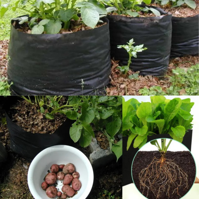 Тканинний горщик Grow Bag Агротекстильний горщик щільність 90 г/м.кв. 60 л СПАНБЕГ
