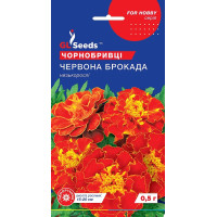 Насіння Чорнобривці Червона брокада 0,5 г GL Seeds