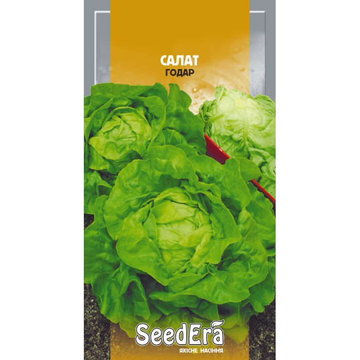 Насіння Салат качанний масляний Годар 1 г Seedera