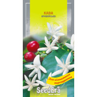 Насіння Кава Аравійська кімнатна 10 шт Seedera