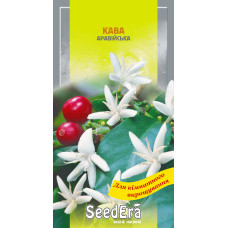 Насіння Кава Аравійська кімнатна 10 шт Seedera