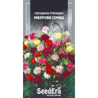 Насіння Гвоздика Гренадін садова махрова суміш 0,3 г Seedera