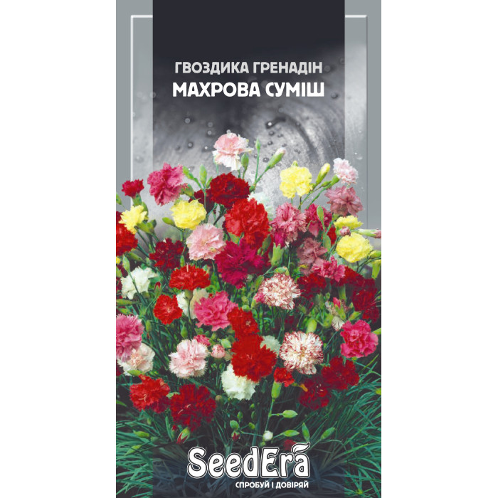 Насіння Гвоздика Гренадін садова махрова суміш 0,3 г Seedera