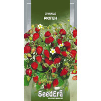 Насіння Суниця ремонтантна, Рюген, 0,05 г, Seedera