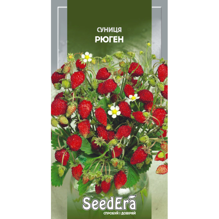 Насіння Суниця ремонтантна, Рюген, 0,05 г, Seedera