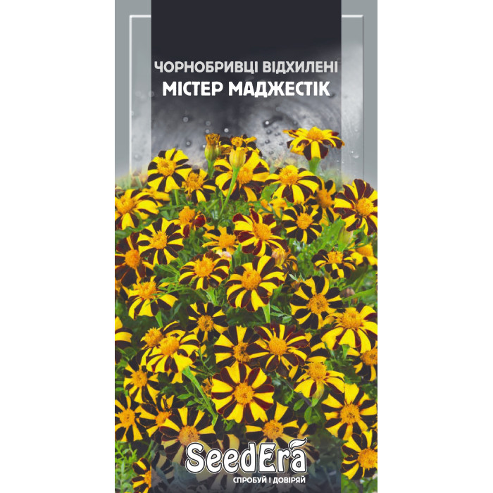Насіння Чорнобривці низькорослі відхилені Містер Маджестік, 0,5 г, Seedera