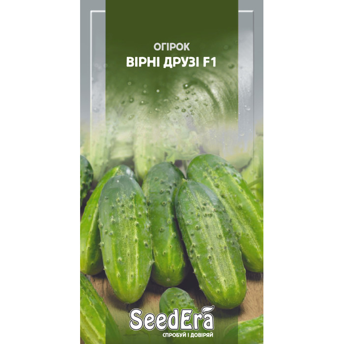 Насіння Огiрок Вірні Друзі F1 10 шт Seedera