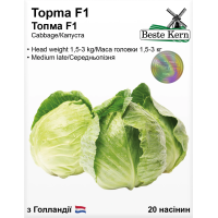 Насіння Капуста білоголова Топма F1 20 нас Beste Kern