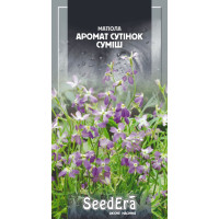 Насіння Матіола Аромат сутінок, суміш 1 г, Seedera