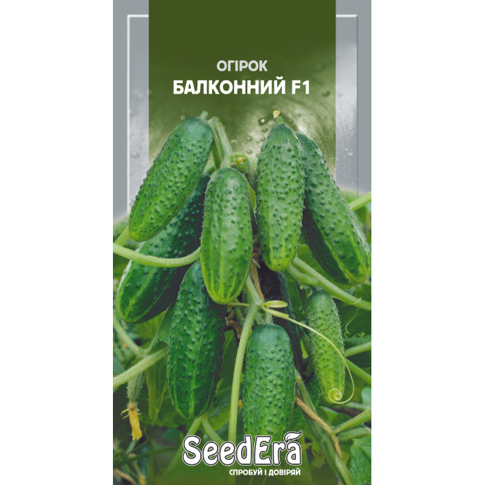 Насіння Огiрок Балконний F1, 10 шт, Seedera