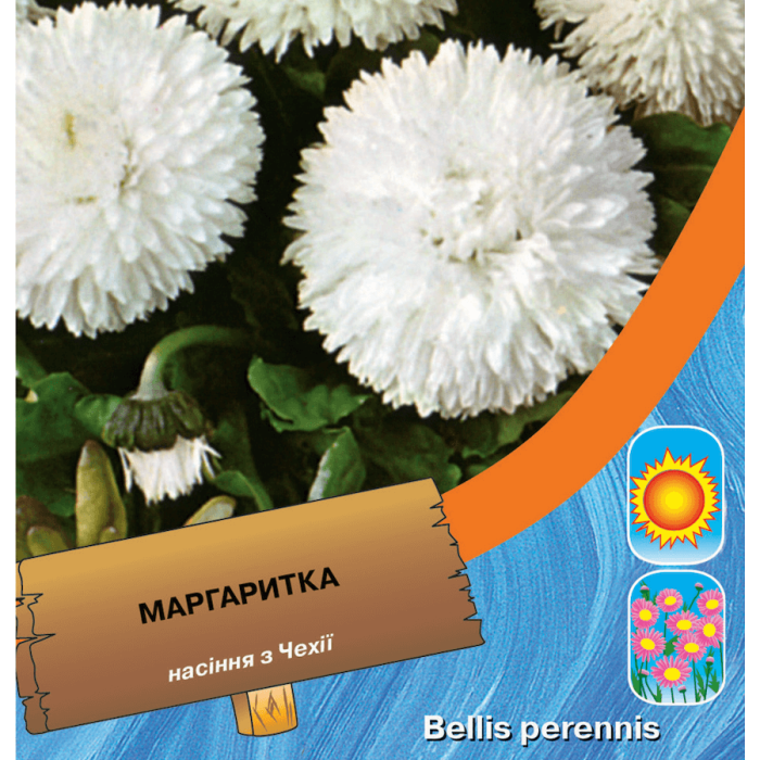 Насіння Маргаритка помпоновидна Біла, 0,1 г, Тирас Moravo Seed