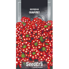 Насіння Вербена гібридна Скарлет 0,2 г Seedera
