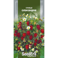 Насіння Суниця ремонтантна Олександрія 0,05 г Seedera
