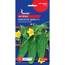 Насіння Огiрок Кімнатне диво F1, 10 шт, GL Seeds