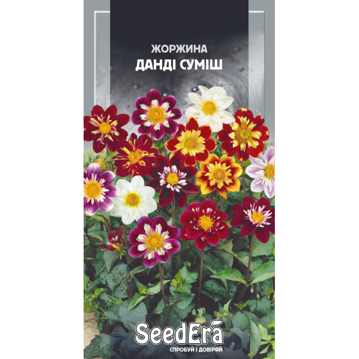 Насіння Жоржина мінлива Данді суміш 0,5 г Seedera