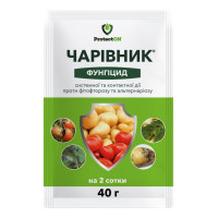 Фунгіцид Чарівник 40 г ProtectOn