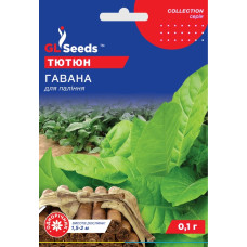 Насіння Тютюн курильний Гавана 0,1 г GL Seeds