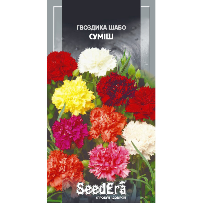 Насіння Гвоздика Шабо садова суміш 0,2 г Seedera