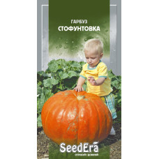 Насіння Гарбуз Стофунтовка 3 г Seedera