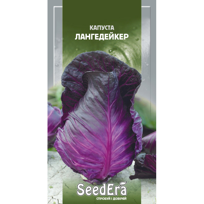 Насіння Капуста червоноголова Лангедейкер, 0,5 г, Seedera