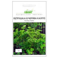 Насіння Петрушка кучерява Каліто 1 г Професійне насіння