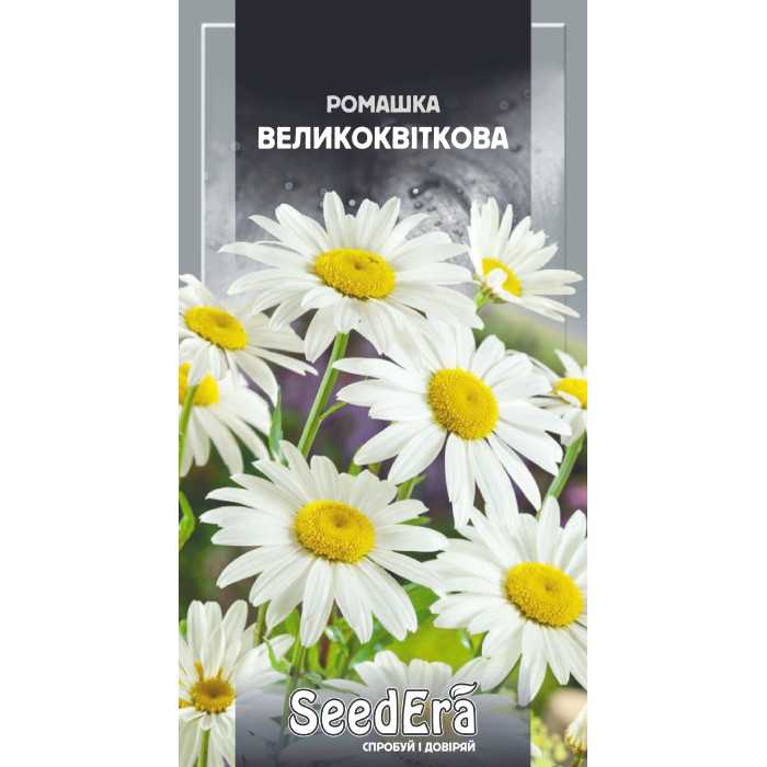 Насіння Ромашка великоквіткова багаторічна, 0,2 г, Seedera
