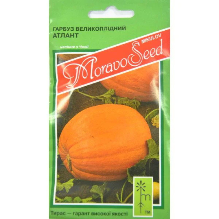 Насіння Гарбуз великоплідний Голіаш 5 г Тирас Moravo Seed