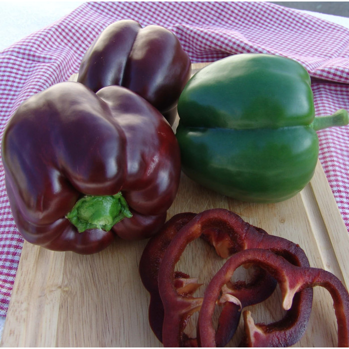 Насіння Перець солодкий Інгрід, 0,4 г, Тирас Moravo Seed