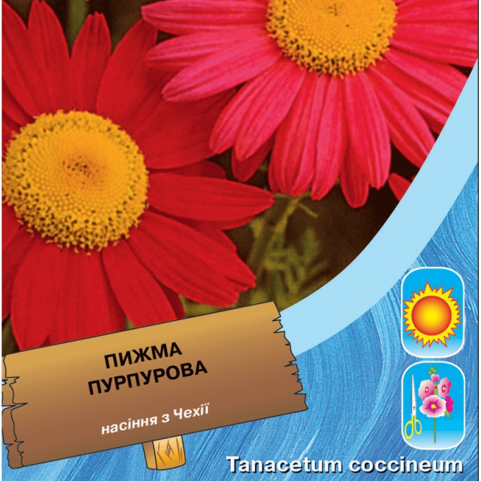 Насіння Пижма пурпурова, 0,2 г, Тирас Moravo Seed