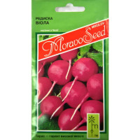 Насіння Редиска Віола 3 г Тирас Moravo Seed