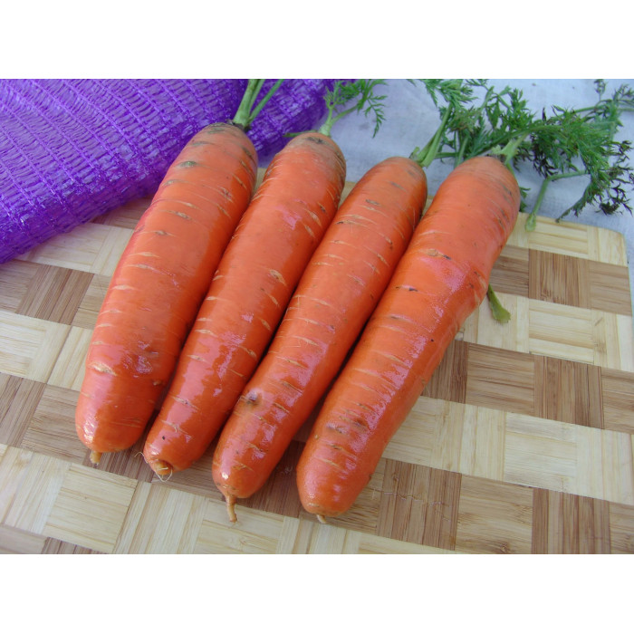 Насіння Морква Фаворит, 2 г, Тирас Moravo Seed