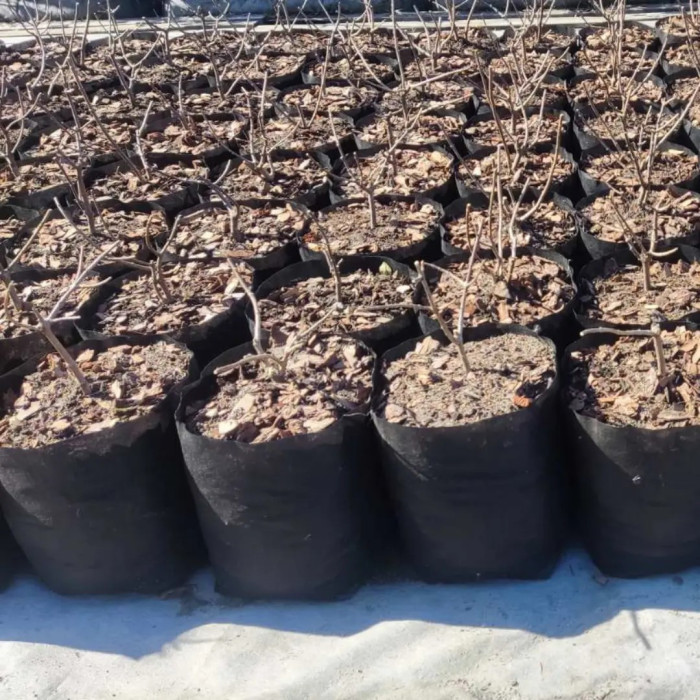 Тканинний горщик Grow Bag Агротекстильний горщик щільність 100 г/м.кв. 100 л СПАНБЕГ