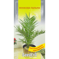Насіння Фінікова Пальма кімнатна 2 шт Seedera